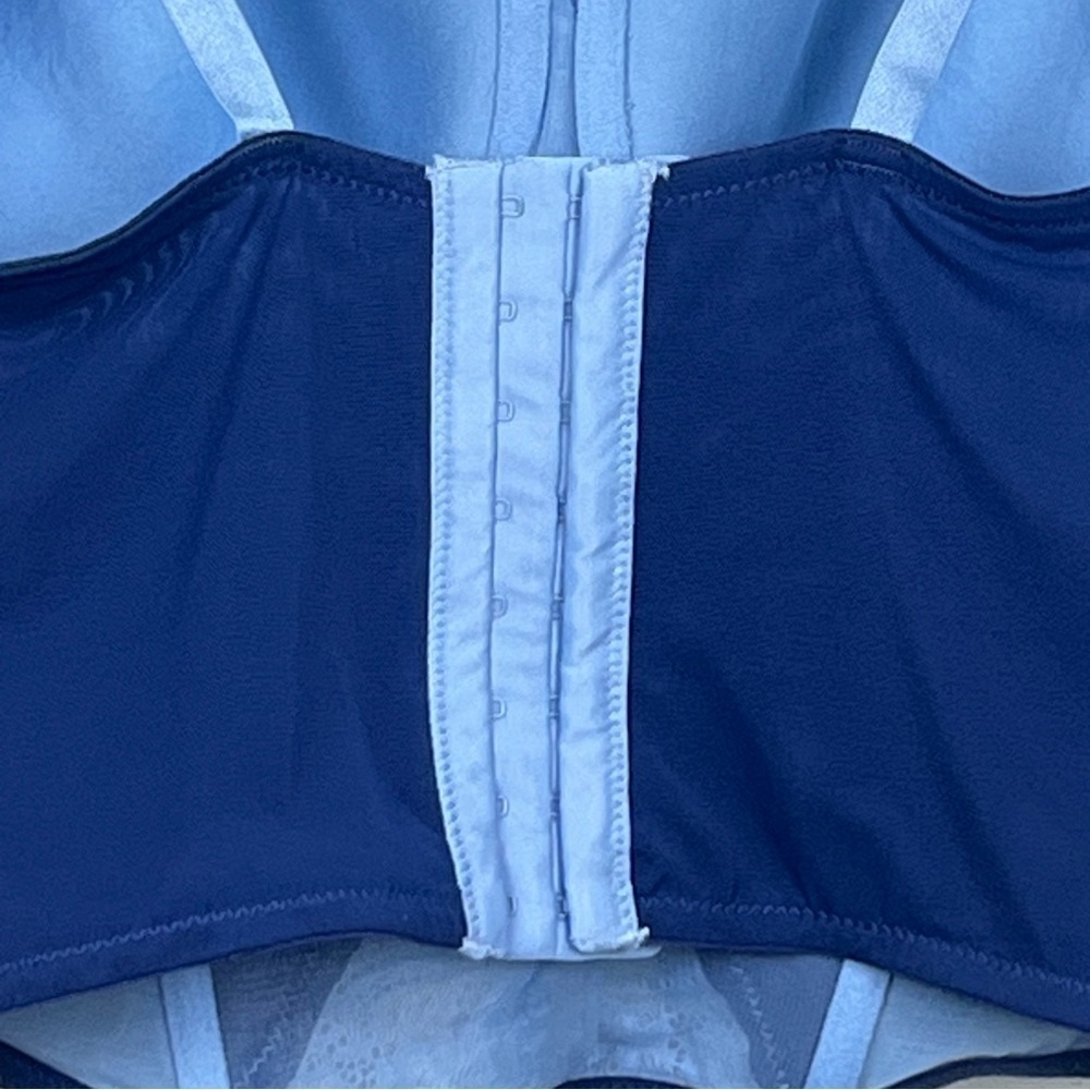 Adored by Adore Me blue lace & mesh longline corset style underwire bra, 3X. - Picture 4 of 10